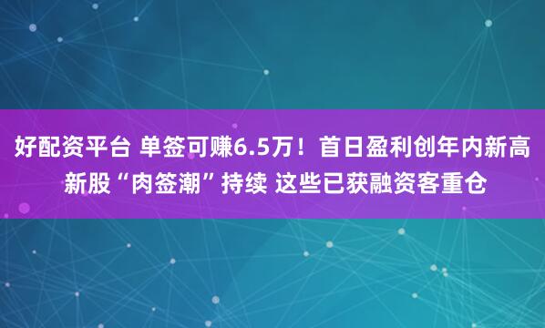 好配资平台 单签可赚6.5万！首日盈利创年内新高 新股“肉签潮”持续 这些已获融资客重仓