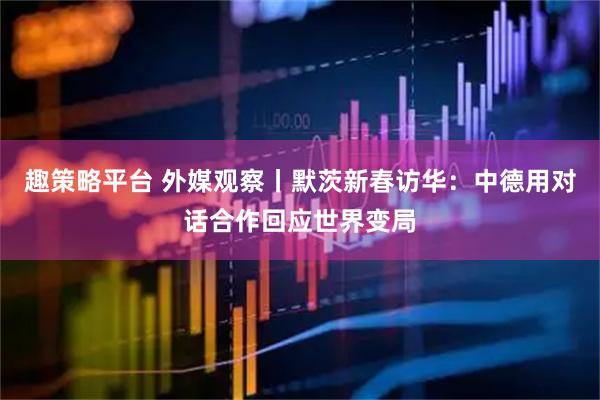 趣策略平台 外媒观察丨默茨新春访华：中德用对话合作回应世界变局